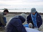 DSC00634.JPG